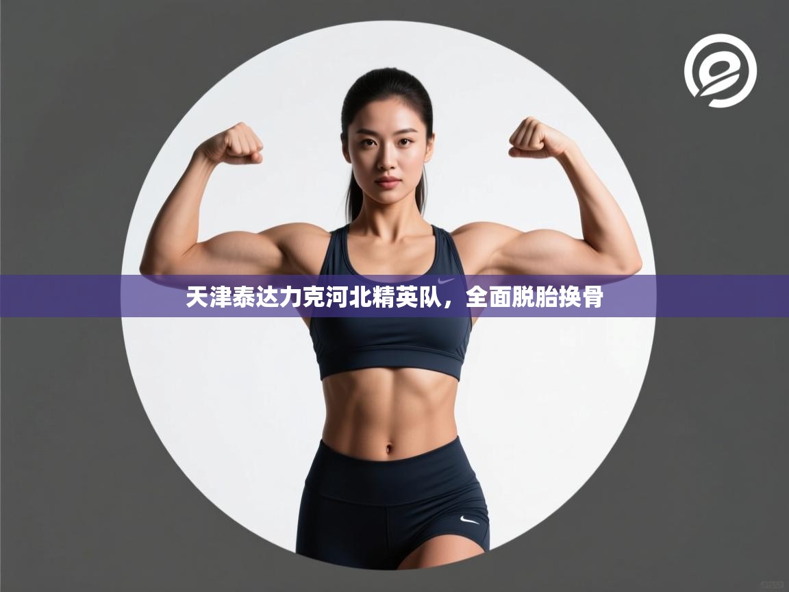 天津泰达力克河北精英队，全面脱胎换骨